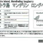 カフェ ランバン:インドネシア スマトラ島 ワハナ農園 ロングベリー