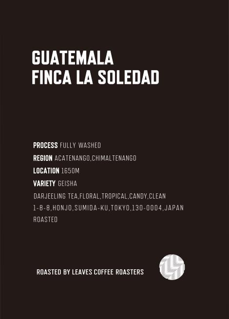 リーブス コーヒー ロースターズ：グアテマラ フィンカ・ラ・ソレダ ゲイシャ
