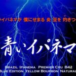 帰山人の珈琲遊戯:ブラジル イパネマ農園 ファゼンダ・リオ・ヴェルデ プレミア・クリュ B42 タンジェリン・リキュール