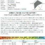 アバウトアスコーヒー:コロンビア エル・パライソ農園 ローズロット