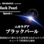 丸美珈琲店:ニカラグア ブラックパール