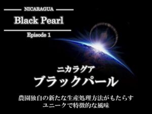 丸美珈琲店:ニカラグア ブラックパール
