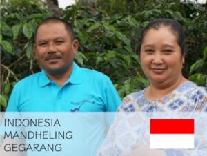 丸美珈琲店:インドネシア マンデリン ゲガラン地区