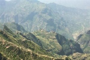 サザコーヒー：イエメン ワディ・ベッダウ ジャディ ナチュラル シェバ・コーヒー 2021年 ハラーズ/02