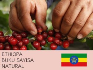 丸美珈琲店：エチオピア ブク サイーサ ナチュラル