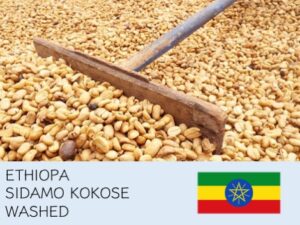 丸美珈琲店：エチオピア ココセ ウォッシュト