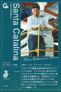 堀口珈琲:グアテマラ サンタ・カタリーナ農園 シティロースト