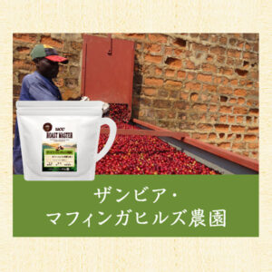 UCC ROAST MASTER:ザンビア マフィンガヒルズ農園