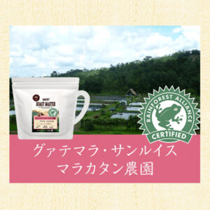 UCC ROAST MASTER：グアテマラ サンルイス マラカタン農園