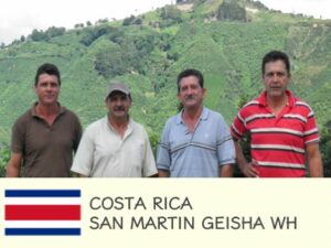 丸美珈琲店：コスタリカ サン・マルティン農園 ゲイシャ ホワイトハニー