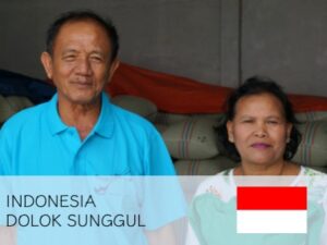 丸美珈琲店：インドネシア マンデリン ドロックサングルー