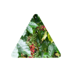 工房 横井珈琲:ホンジュラス ラ・ウエルタ ホンジュラス カップ・オブ・エクセレンス 2021年 第11位