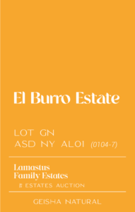 Definitive.：パナマ エリダ エル・ブーロ ゲイシャ ナチュラル アネロビック・スロー・ドライ ラマスタス・ファミリー・エステーツ・オークション 2021 ロット 0104-7