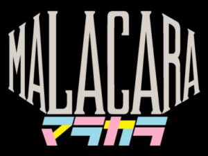 帰山人の珈琲遊戯:エルサルバドル マラカラ ブルボン ウォッシュト