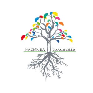 パナマ マメシージョ農園