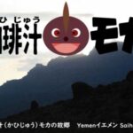 帰山人の珈琲遊戯とフレーバーコーヒー:エイジド イエメン クラシック モカ