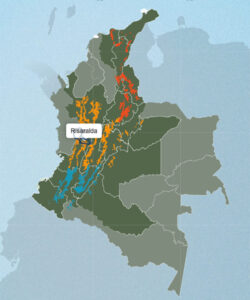 コロンビアのコーヒー生産地：リサラルダ