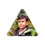 工房 横井珈琲：ペルー エル・セドロ