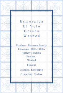 Definitive.：パナマ エスメラルダ エル・ベロ ゲイシャ ウォッシュト