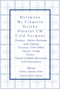 Definitive.：パナマ ミ・フィンキータ ゲイシャ ナチュラル カーボニック・マセレーション コールド・ファーメンテーション