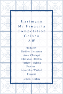 Definitive.：パナマ ミ・フィンキータ コンペティション ゲイシャ アネロビック・ウォッシュト