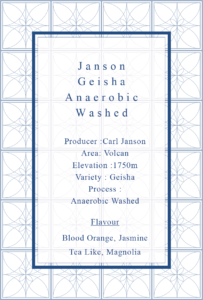 Definitive.：パナマ ジャンソン ゲイシャ アネロビック・ウォッシュト