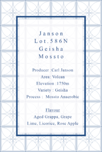 Definitive.：パナマ ジャンソン ロット 586N ゲイシャ モスト・ファーメンテーション