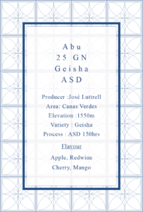 Definitive.：パナマ アブ 25 ゲイシャ ナチュラル アネロビック・スロー・ドライ