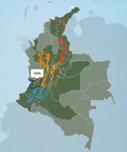 コロンビアのコーヒー生産地：バジェ・デル・カウカ