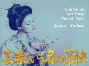 帰山人の珈琲遊戯：グアテマラ サンディエゴ ブエナビスタ農園 ゲイシャ