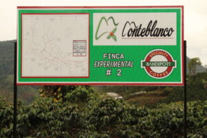 コロンビア モンテブランコ農園