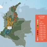 コロンビアのコーヒー生産地:ウィラ