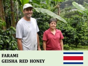 丸美珈琲店:コスタリカ ファラミ農園 ゲイシャ レッドハニー