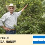 丸美珈琲店:ホンジュラス ピノス農園 ハニー