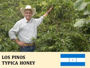 丸美珈琲店：ホンジュラス ピノス農園 ハニー