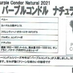 カフェランバン:ペルー パープルコンドル ナチュラル