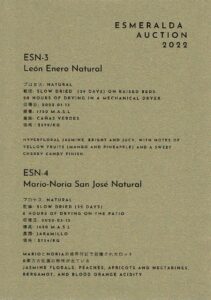 Definitive.：パナマ エスメラルダ ゲイシャ エスメラルダ・オークション 2022 ES-N-4 マリオ・ノリア・サン・ホセ ナチュラル