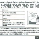 カフェ ランバン:グアテマラ ラ・クプラ農園 アンティグア ブルボン 2021 レイトハーベスト