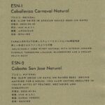 Definitive.:パナマ エスメラルダ ゲイシャ エスメラルダ・オークション 2022 ES-N-1 カバリェリサ・カルナバル ナチュラル