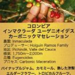 ウニール:コロンビア インマクラーダ ユーゲニオイデス カーボニック・マセレーション