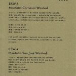 Definitive.:パナマ エスメラルダ ゲイシャ エスメラルダ・オークション 2022 ES-W-3 モンターニャ・カルナバル ウォッシュト