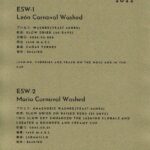 Definitive.:パナマ エスメラルダ ゲイシャ エスメラルダ・オークション 2022 ES-W-2 マリオ・カルナバル ウォッシュト