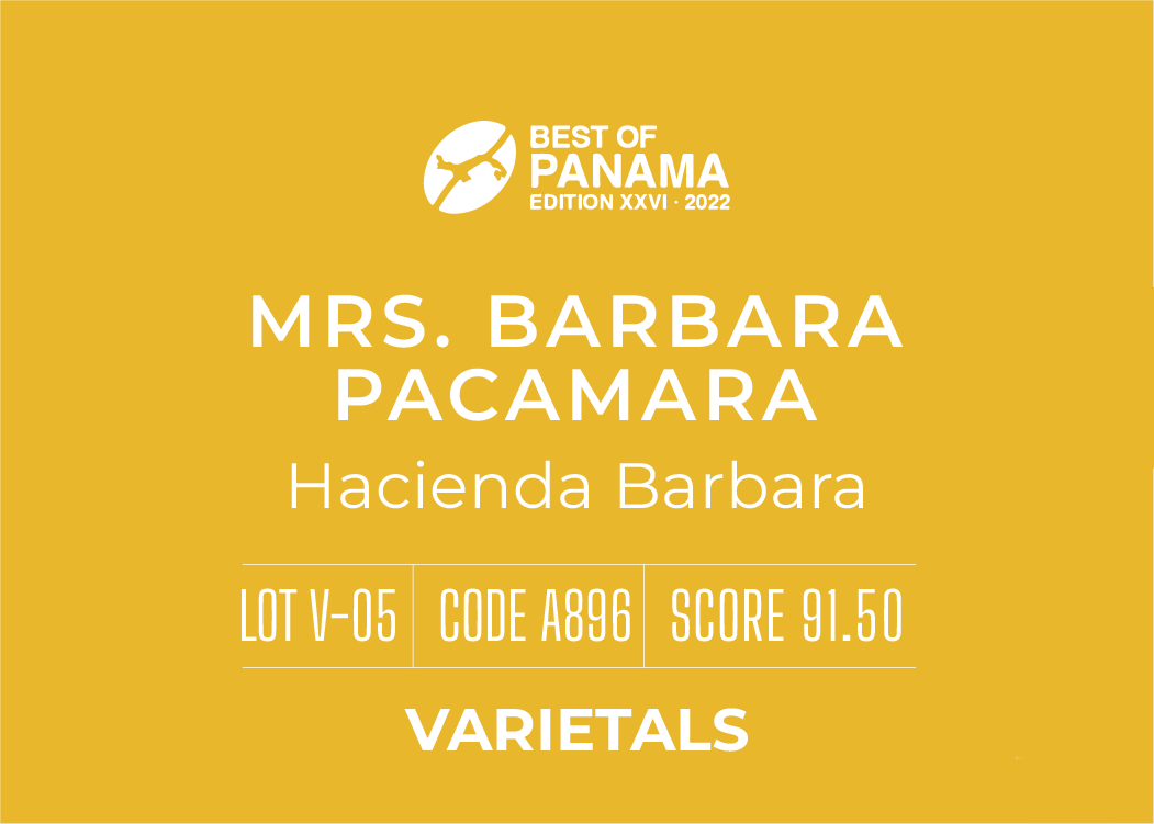 Definitive.：パナマ アシエンダ・バーバラ ミセス・バーバラ パカマラ ベスト・オブ・パナマ 2022年 バラエタルス部門 第5位