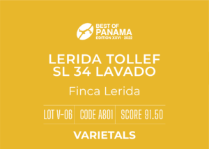 Definitive.:パナマ レリダ  トレフ SL-34 ラバード ベスト・オブ・パナマ 2022年 バラエタルス部門 第6位(サンプル)