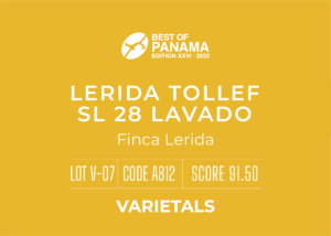 Definitive.：パナマ レリダ  トレフ SL-28 ラバード ベスト・オブ・パナマ 2022年 バラエタルス部門 第7位（サンプル）