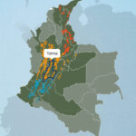 コロンビアのコーヒー生産地:トリマ