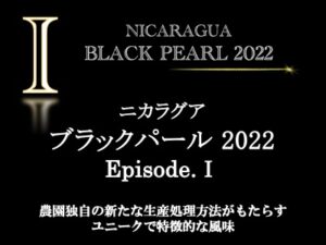丸美珈琲店:ニカラグア ブラックパール 2022年