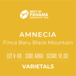 Definitive.:パナマ フィンカ バル・ブラック・マウンテン アムネシア ベスト・オブ・パナマ 2022年 バラエタルス部門 第8位(サンプル)