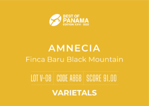 Definitive.:パナマ フィンカ バル・ブラック・マウンテン アムネシア ベスト・オブ・パナマ 2022年 バラエタルス部門 第8位(サンプル)