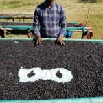 エチオピア ブク・サイーサ・コーヒー社